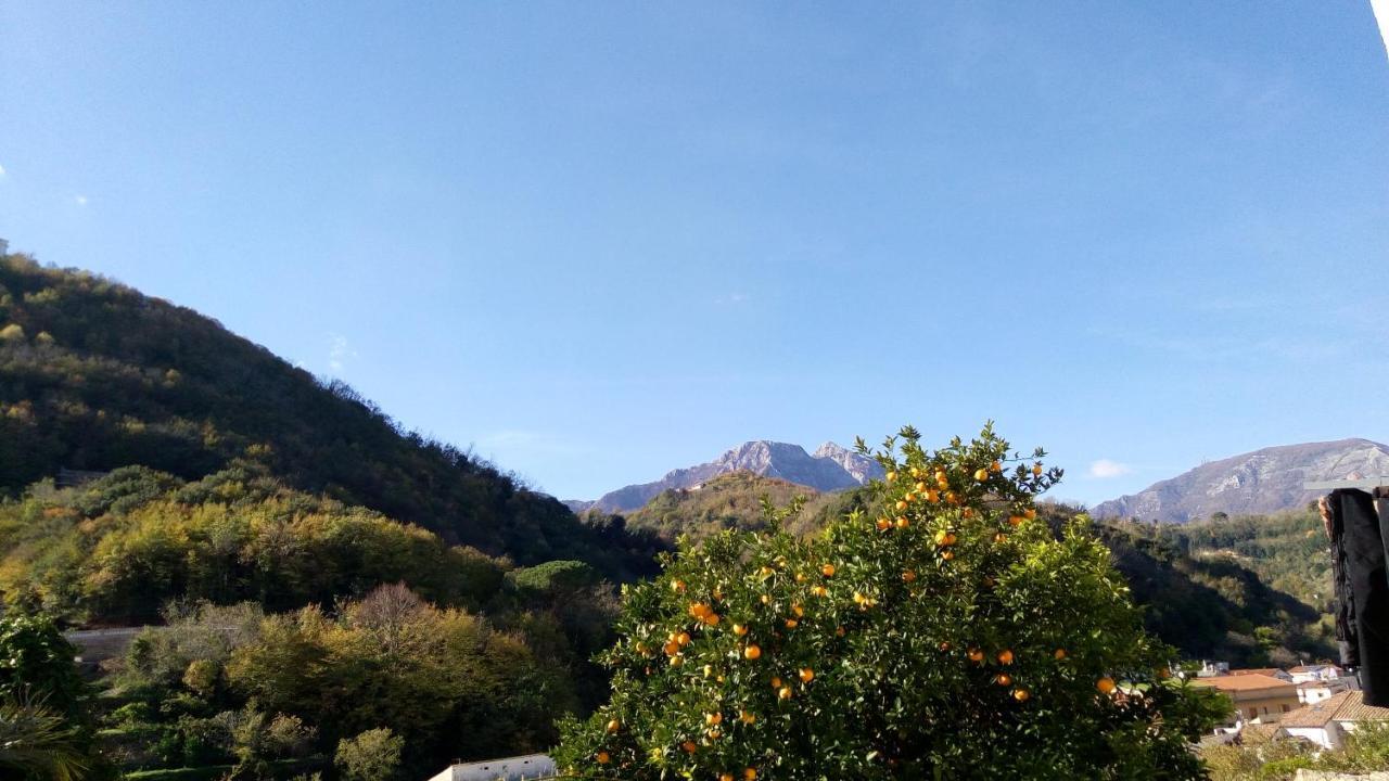 VietriL'Antico Giardino住宿加早餐旅馆 外观 照片
