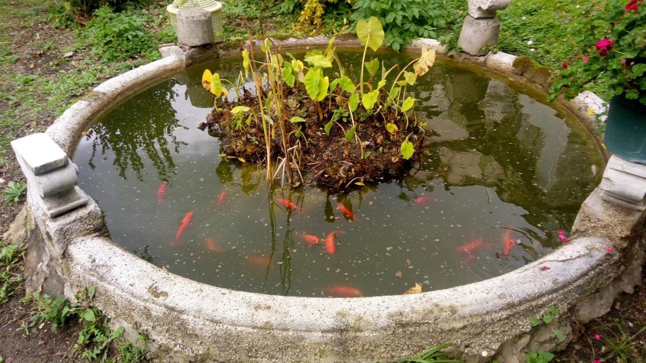 VietriL'Antico Giardino住宿加早餐旅馆 外观 照片